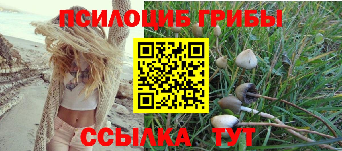 Галлюциногенные грибы Magic Shrooms  Вход с VPN  Балашиха  Псилоцибиновые грибы мухоморы 